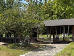 -东园小馆·早茶·淮扬小炒(宋夹城店)