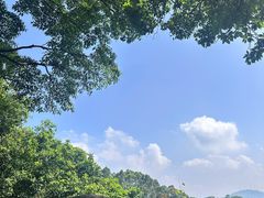 -火炉山森林公园