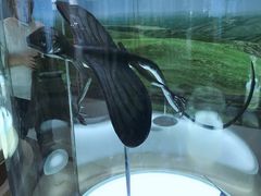 -辽宁古生物博物馆