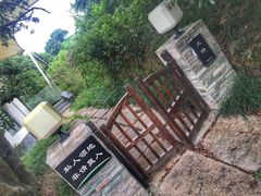 -帐篷客·溪龙茶谷度假酒店