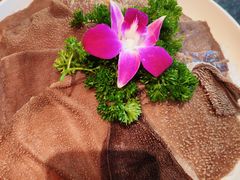 -盡膳口福跷脚牛肉火锅(北美新天地店)