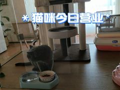 -Me Coffee下午茶艺术空间