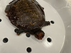 -索菲特酒店·海鲜自助 ·聚餐厅