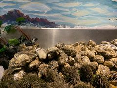 -77号渔船·蒸海鲜青岛菜(积米崖店)