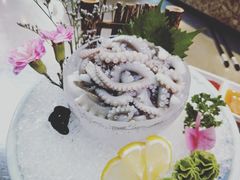 刺身-皇朝海鲜酒店