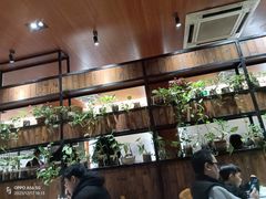 -张记旺角食街(动物园店)