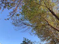 -北京国家会计学院