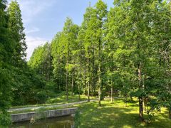 -黄海国家森林公园