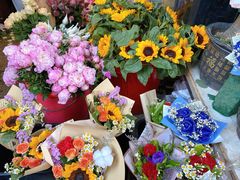 -循礼门鲜花花市(武汉循礼门店)