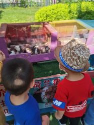 -萌宠亲子动物乐园(槐房万达店)