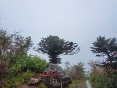 -牛背梁国家森林公园