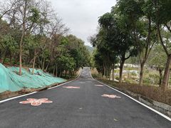 -火炉山森林公园