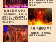-《驼铃传奇》秀