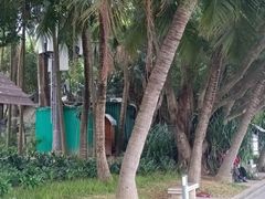 -深圳湾公园(南山区)