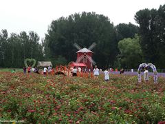 -北京东方普罗旺斯薰衣草庄园