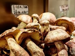 -滇铺子·云南特色菜·第九届野生菌美食节(东风东路c86店)