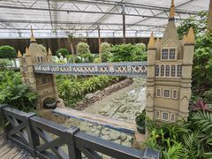 -南宫五洲植物乐园