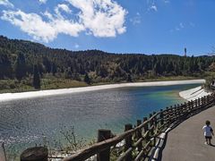 -武陵山森林公园