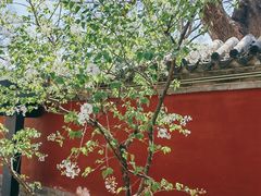 -红螺寺