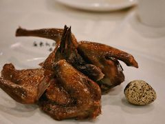 -渔意楼·驰名沙田乳鸽(五羊旗舰店)