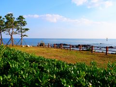 -海云台海滩