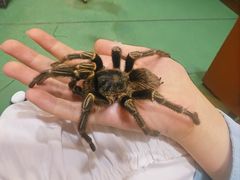 -藦茜花园宠物主题亲子互动体验馆(国顺东路店)