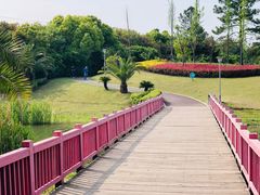-美兰湖景区