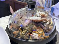 -半岛听涛蒸汽海鲜自助(K11店)