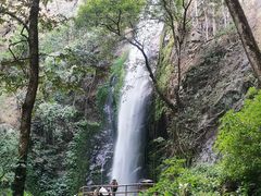 -莫里热带雨林景区