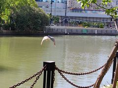 -苏州河梦清园环保主题公园