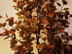 -有七甜品(恒达产业园店)