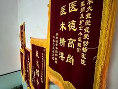 -中农大我爱我爱动物医院·核磁CT·猫病·24小时夜诊中心(石佛营店)