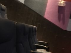 -百丽宫影城(CGS激光苏宁广场店)