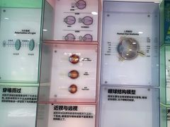 -昆明普瑞眼科医院·近视手术(龙泉院区)