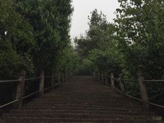 -天台山赤城山景区