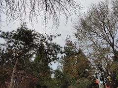 -双榆树公园