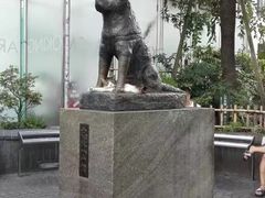 -涩谷区
