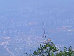 -缙云山景区