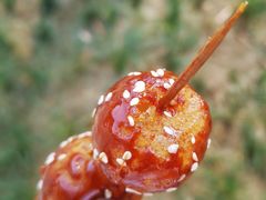 糖油果子-邓记新一代糖油果子(四川煤管局供销公司职工宿舍店)