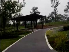 -府河摄影公园