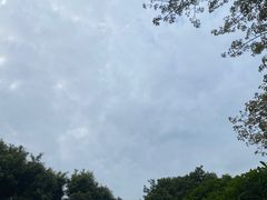 -青礁慈济宫