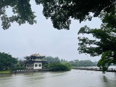 -江心屿景区