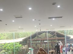 -东海森林温泉