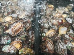 -盒马鲜生(曜一城店)