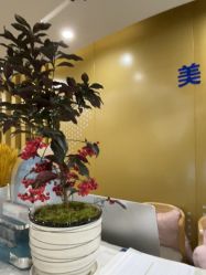 点击看大图 -云南铜雀台美容医院