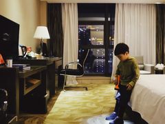 -东方帝景假日酒店