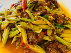 -陈麻婆豆腐总店