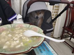 -望海潮海鲜店 特色家常菜(在海一方店)
