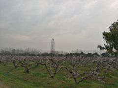 -扬州天乐湖嬉乐谷