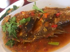 -灯笼馆海鲜餐厅